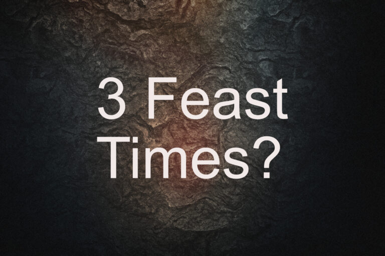 The Three Feast Times: A Blueprint of Transformation
